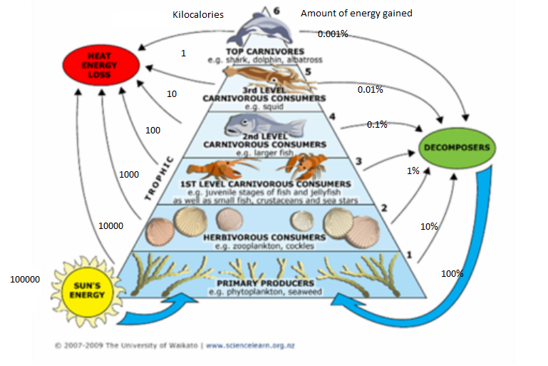 Ocean Energy Pyramid